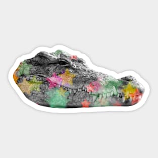 Crocodile Disco Sticker